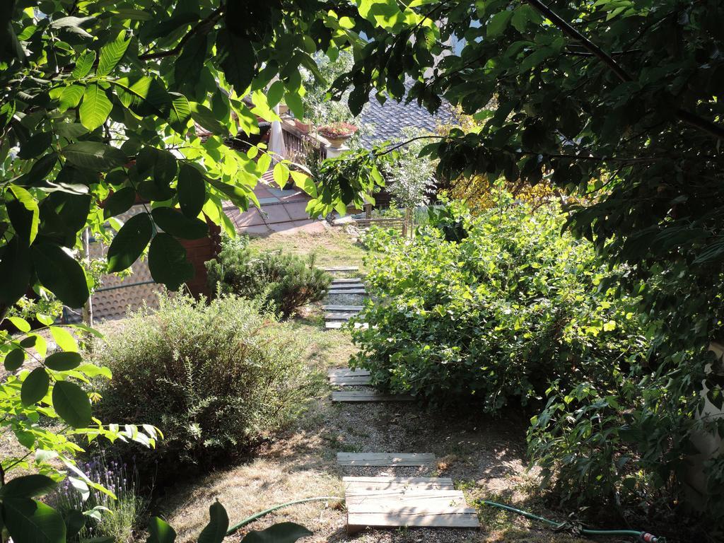 Albinen La Demeure Des Elfes Bed & Breakfast エクステリア 写真