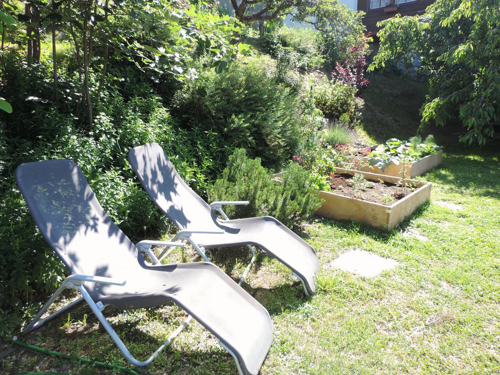 Albinen La Demeure Des Elfes Bed & Breakfast エクステリア 写真